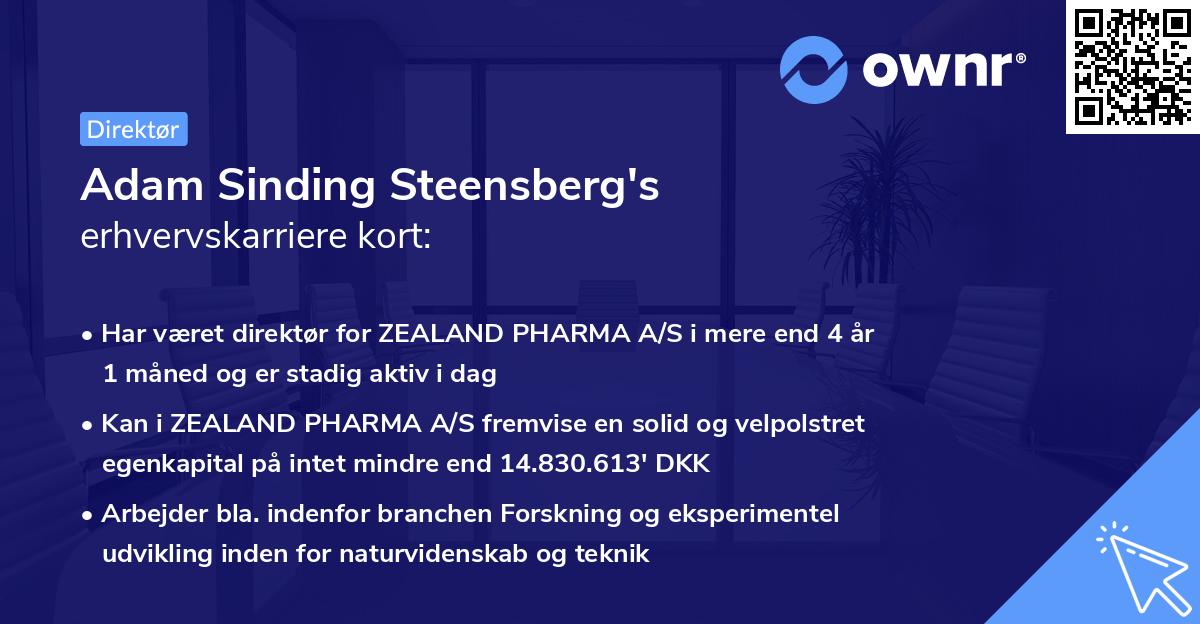 Adam Sinding Steensberg's erhvervskarriere kort