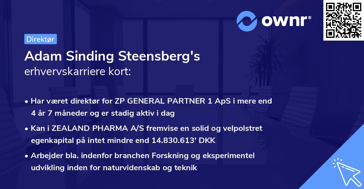 Adam Sinding Steensberg's erhvervskarriere kort