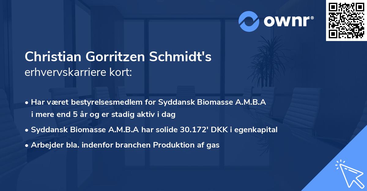Christian Gorritzen Schmidt's erhvervskarriere kort