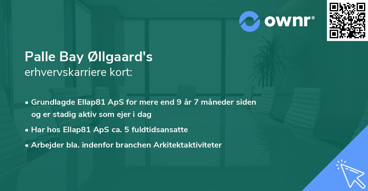 Palle Bay Øllgaard's erhvervskarriere kort