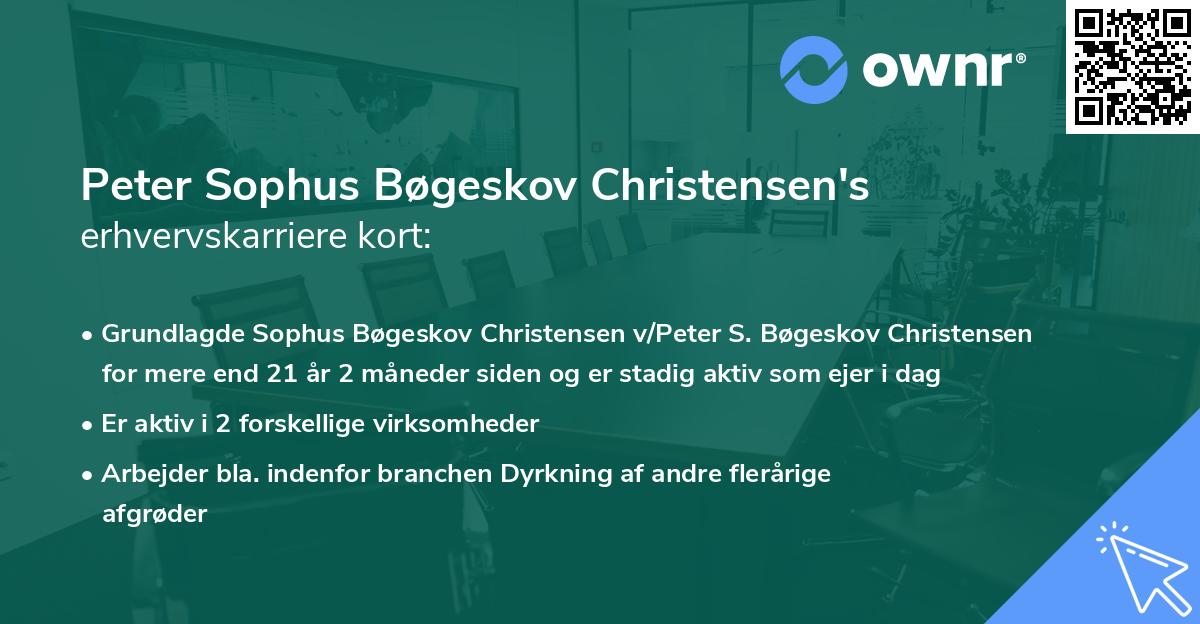 Peter Sophus Bøgeskov Christensen's erhvervskarriere kort