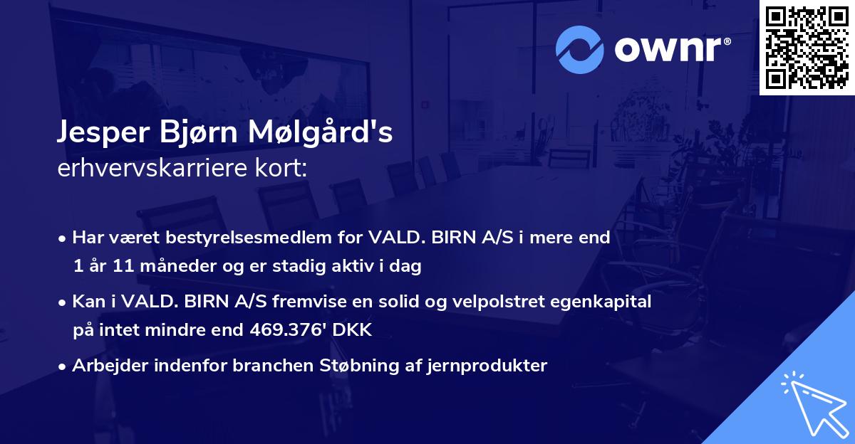 Jesper Bjørn Mølgård's erhvervskarriere kort