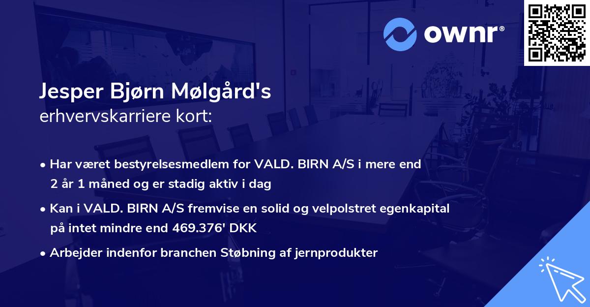 Jesper Bjørn Mølgård's erhvervskarriere kort