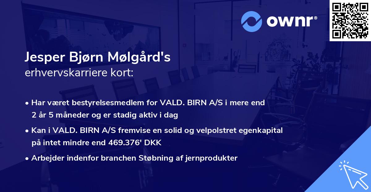 Jesper Bjørn Mølgård's erhvervskarriere kort