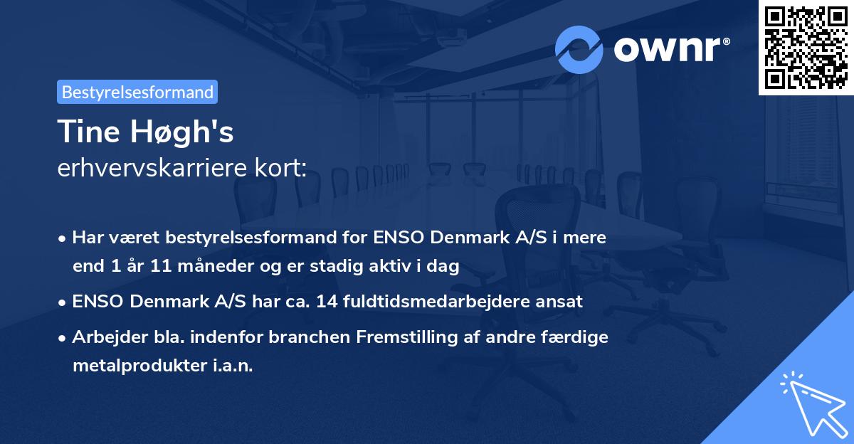 Tine Høgh's erhvervskarriere kort