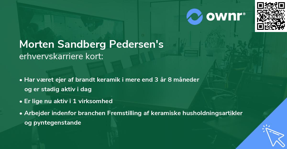 Morten Sandberg Pedersen's erhvervskarriere kort