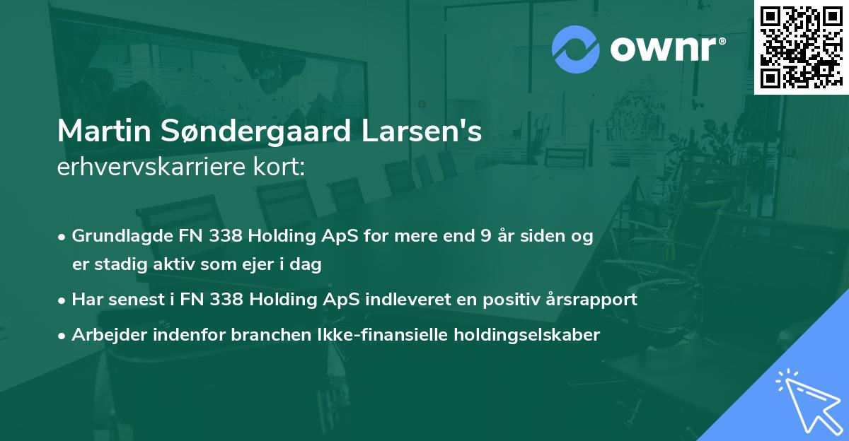 Martin Søndergaard Larsen's erhvervskarriere kort