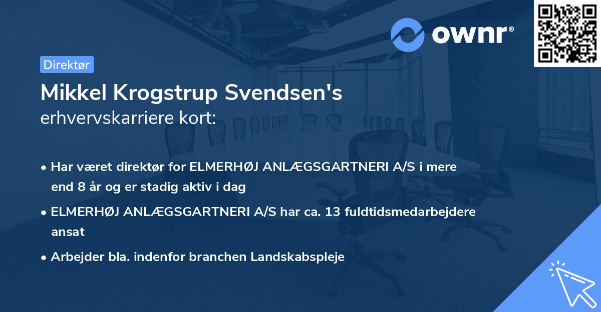 Mikkel Krogstrup Svendsen's erhvervskarriere kort