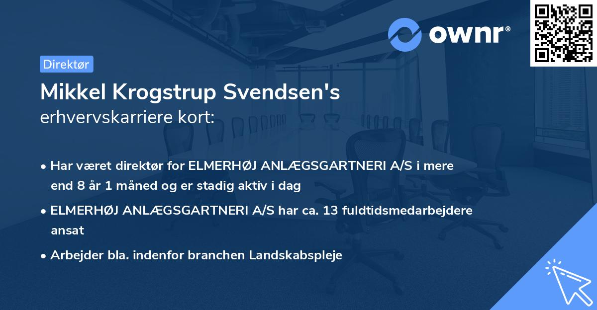 Mikkel Krogstrup Svendsen's erhvervskarriere kort