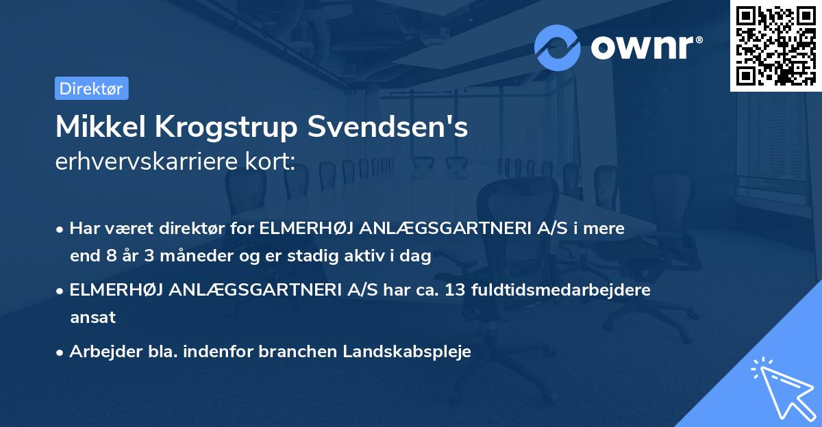 Mikkel Krogstrup Svendsen's erhvervskarriere kort