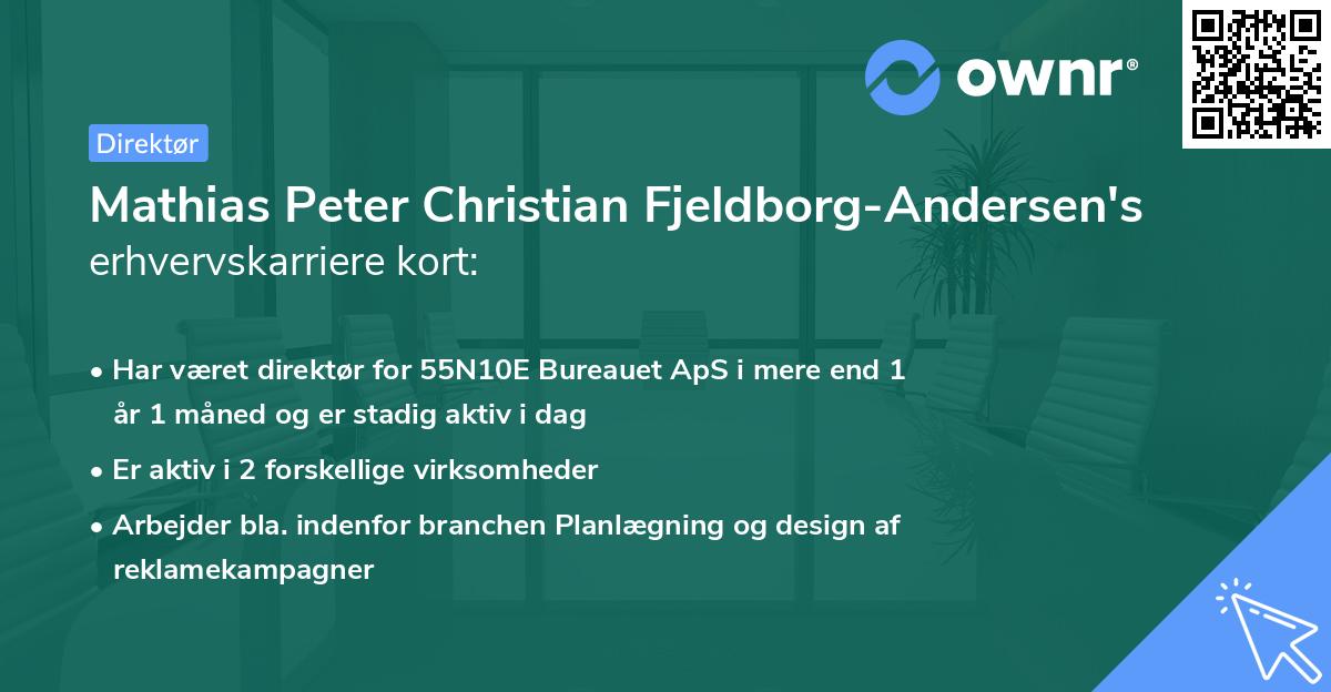 Mathias Peter Christian Fjeldborg-Andersen's erhvervskarriere kort