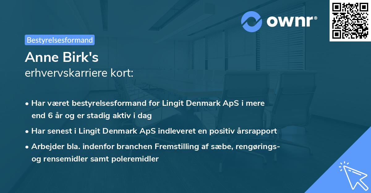 Anne Birk's erhvervskarriere kort