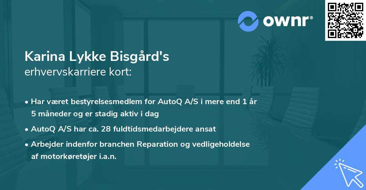 Karina Lykke Bisgård's erhvervskarriere kort
