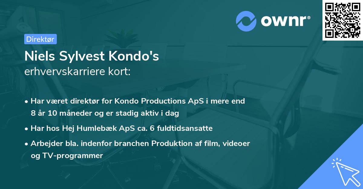 Niels Sylvest Kondo's erhvervskarriere kort