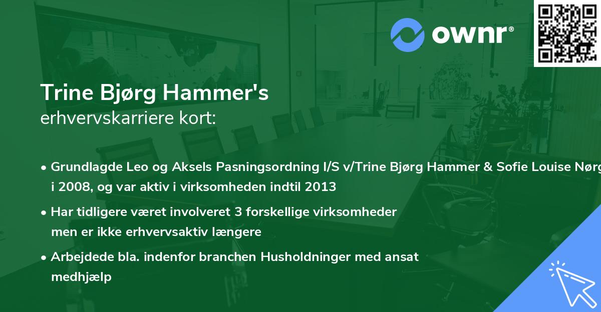Trine Bjørg Hammer's erhvervskarriere kort