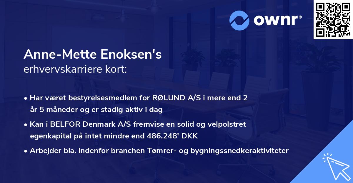 Anne-Mette Enoksen's erhvervskarriere kort