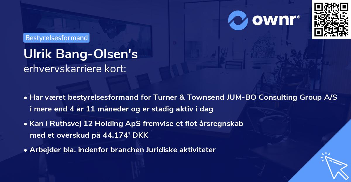 Ulrik Bang-Olsen's erhvervskarriere kort