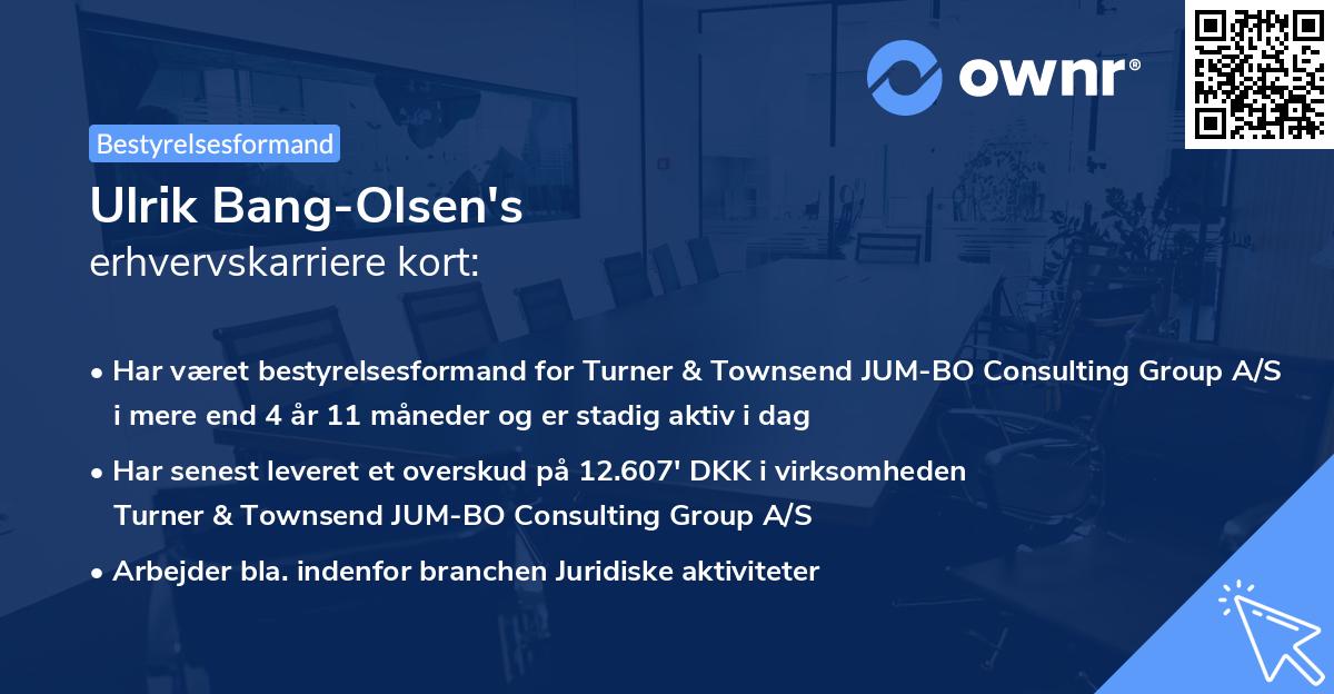 Ulrik Bang-Olsen's erhvervskarriere kort