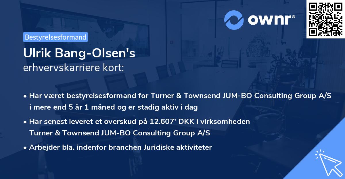 Ulrik Bang-Olsen's erhvervskarriere kort