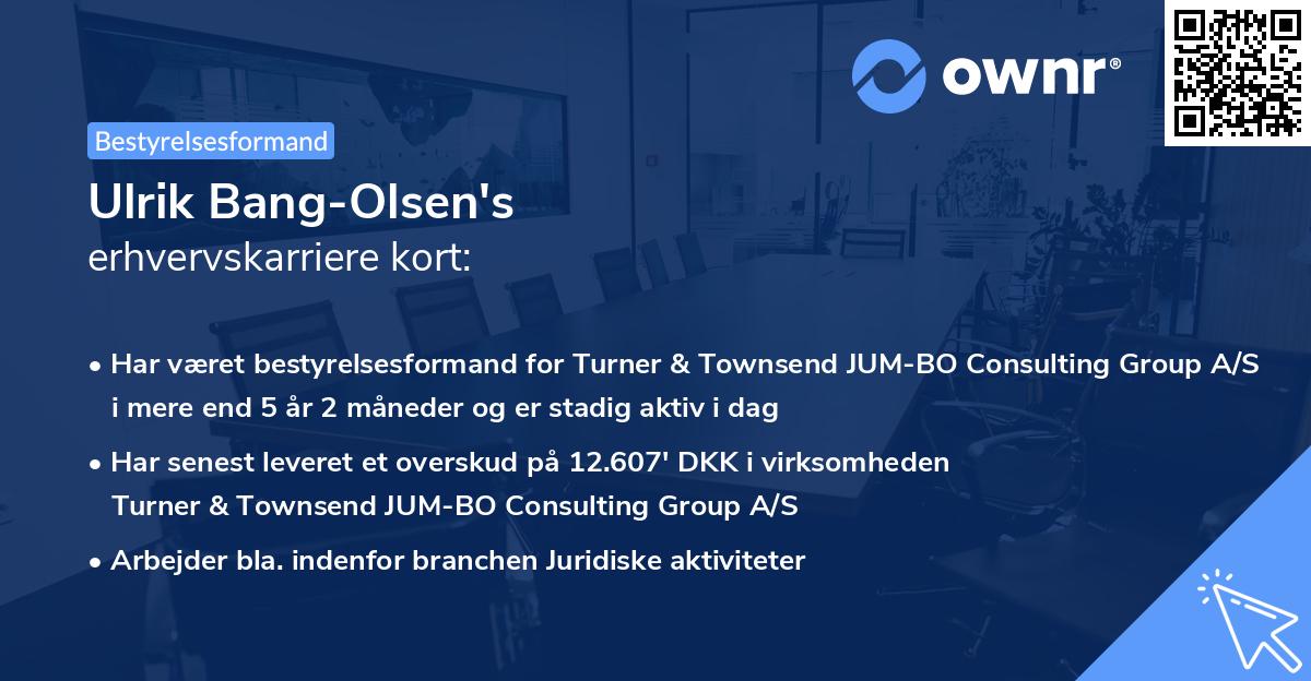 Ulrik Bang-Olsen's erhvervskarriere kort