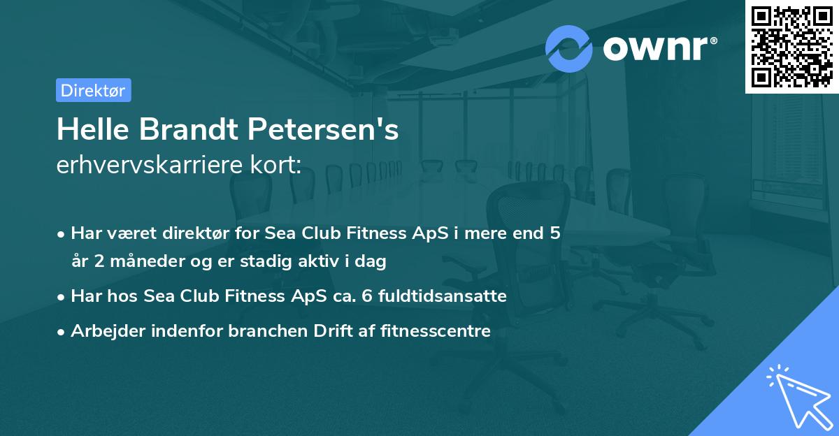 Helle Brandt Petersen's erhvervskarriere kort