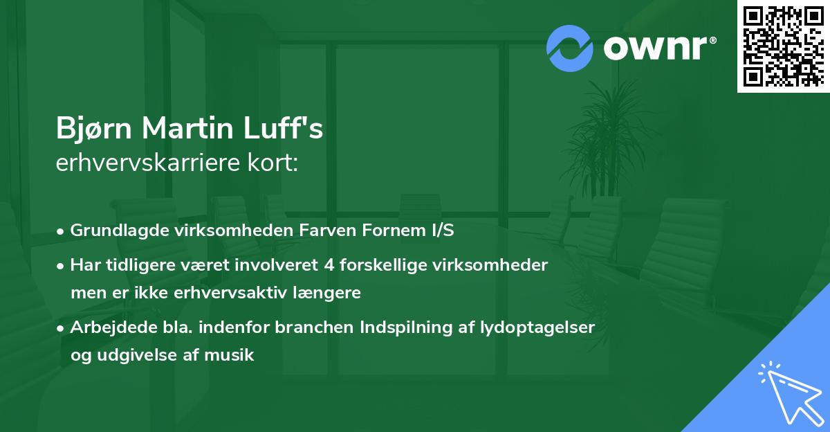 Bjørn Martin Luff's erhvervskarriere kort