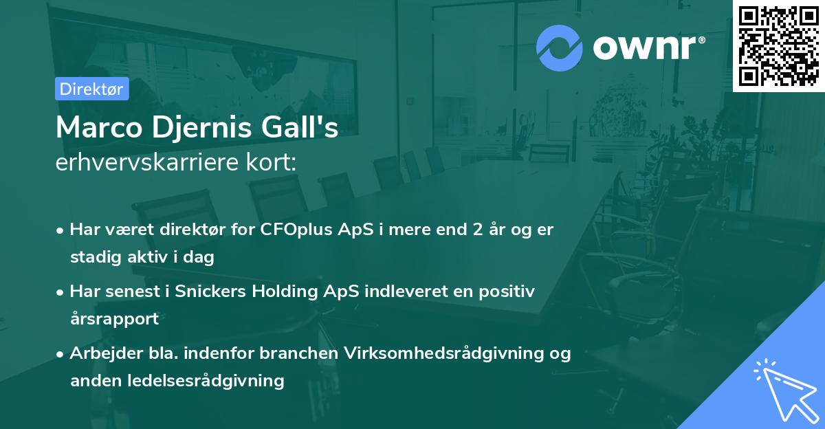 Marco Djernis Gall's erhvervskarriere kort