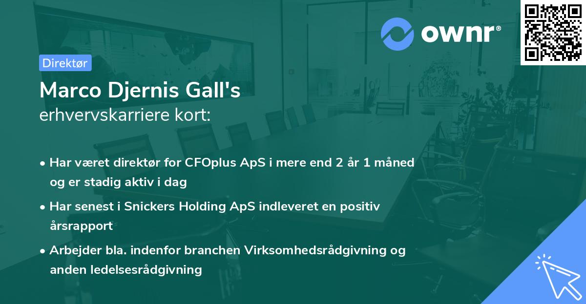 Marco Djernis Gall's erhvervskarriere kort