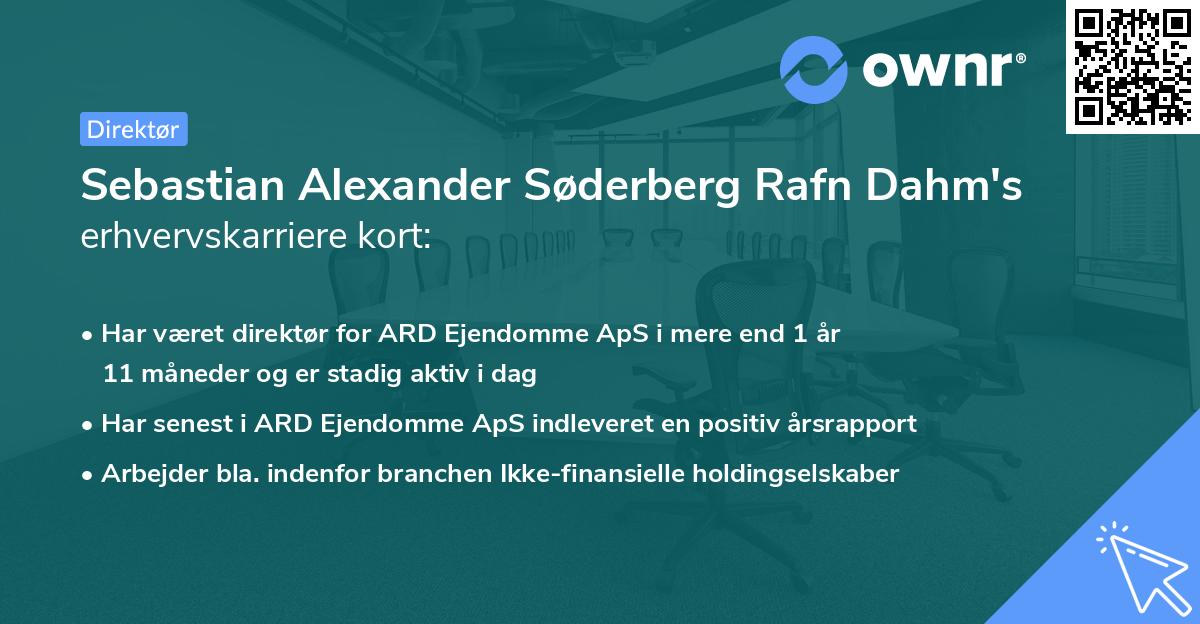 Sebastian Alexander Søderberg Rafn Dahm's erhvervskarriere kort
