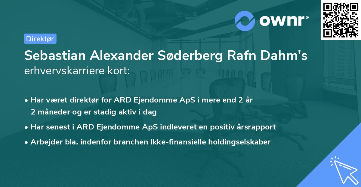 Sebastian Alexander Søderberg Rafn Dahm's erhvervskarriere kort