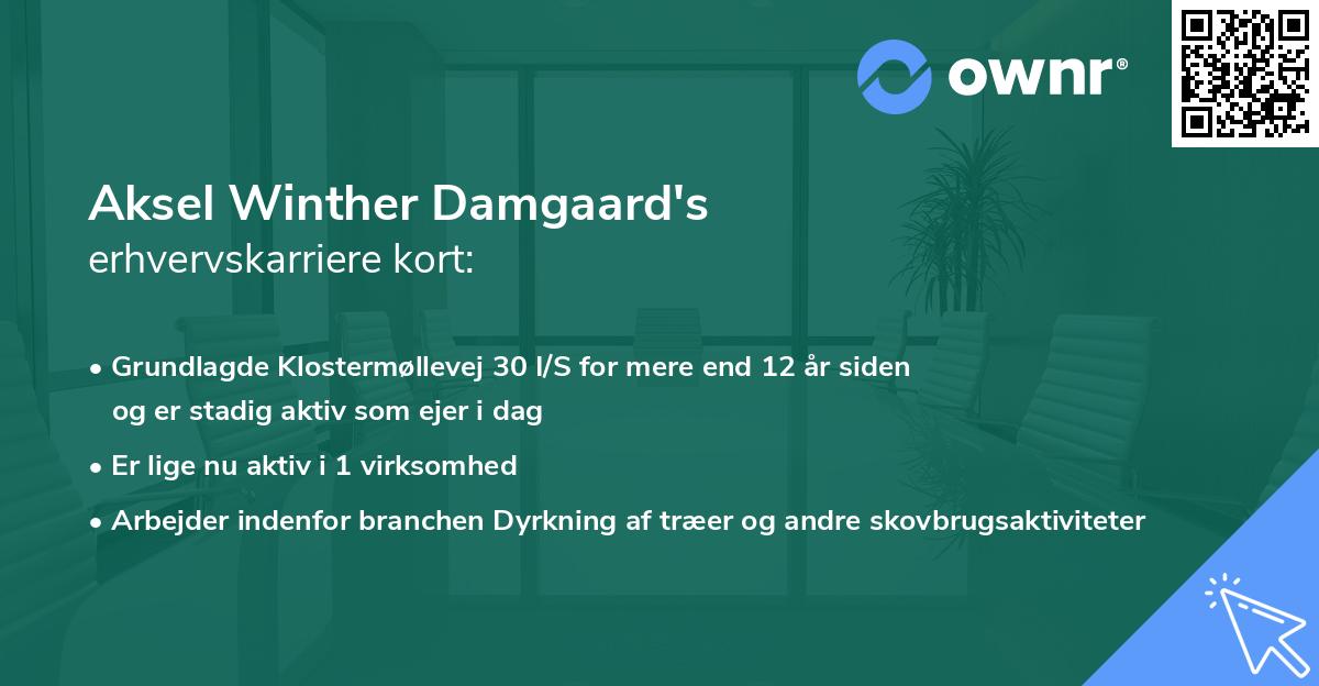 Aksel Winther Damgaard's erhvervskarriere kort