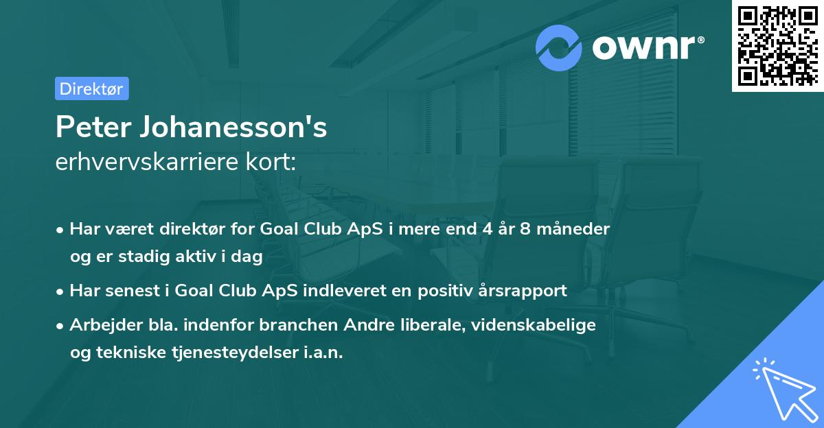 Peter Johanesson's erhvervskarriere kort