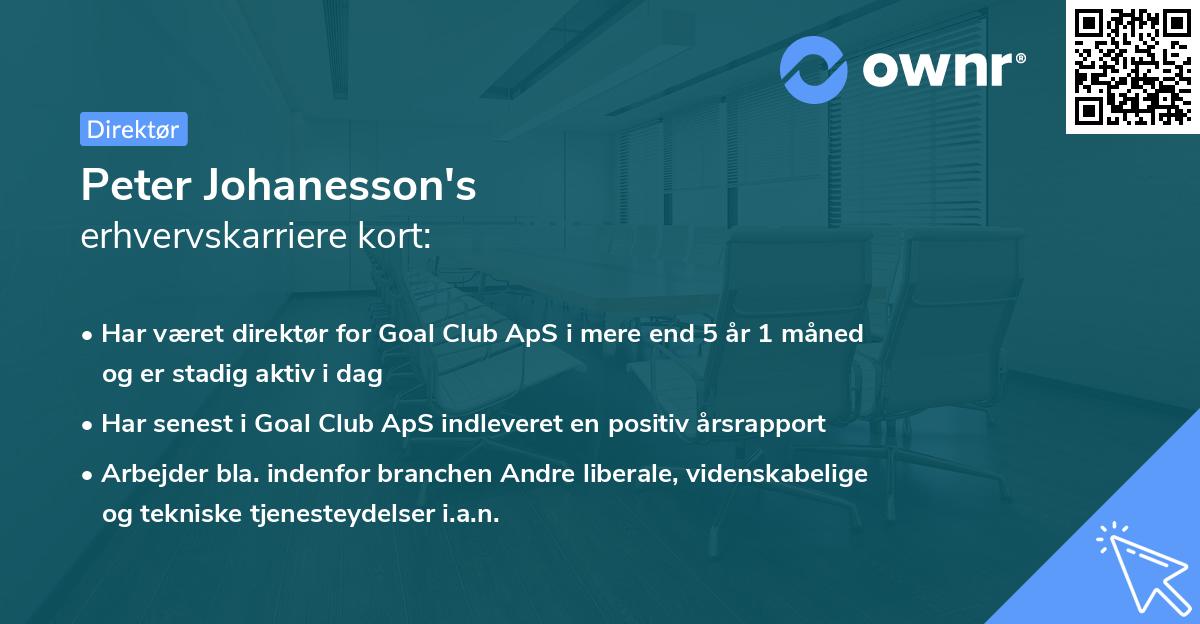 Peter Johanesson's erhvervskarriere kort