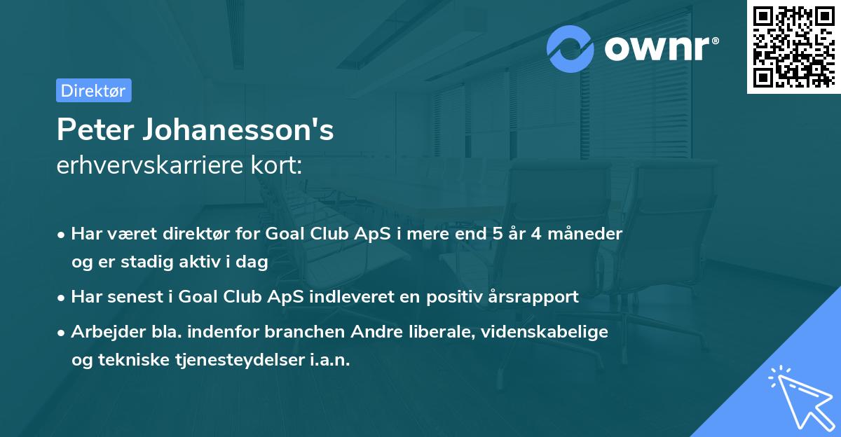 Peter Johanesson's erhvervskarriere kort
