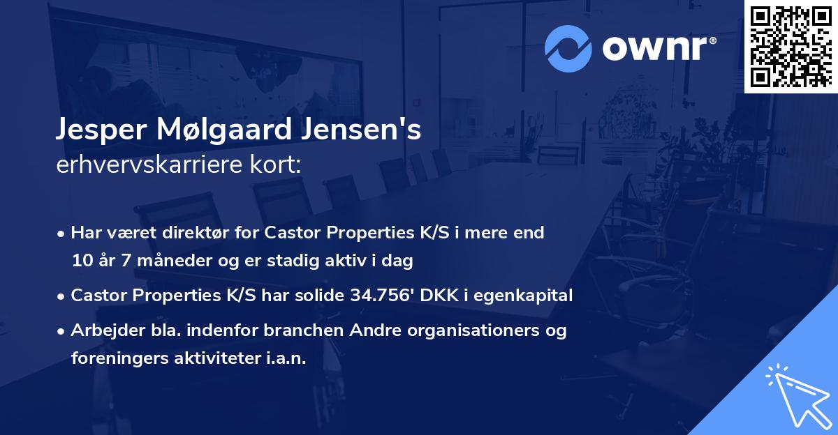 Jesper Mølgaard Jensen's erhvervskarriere kort