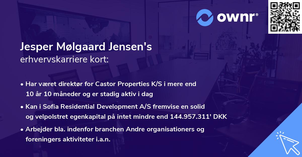 Jesper Mølgaard Jensen's erhvervskarriere kort