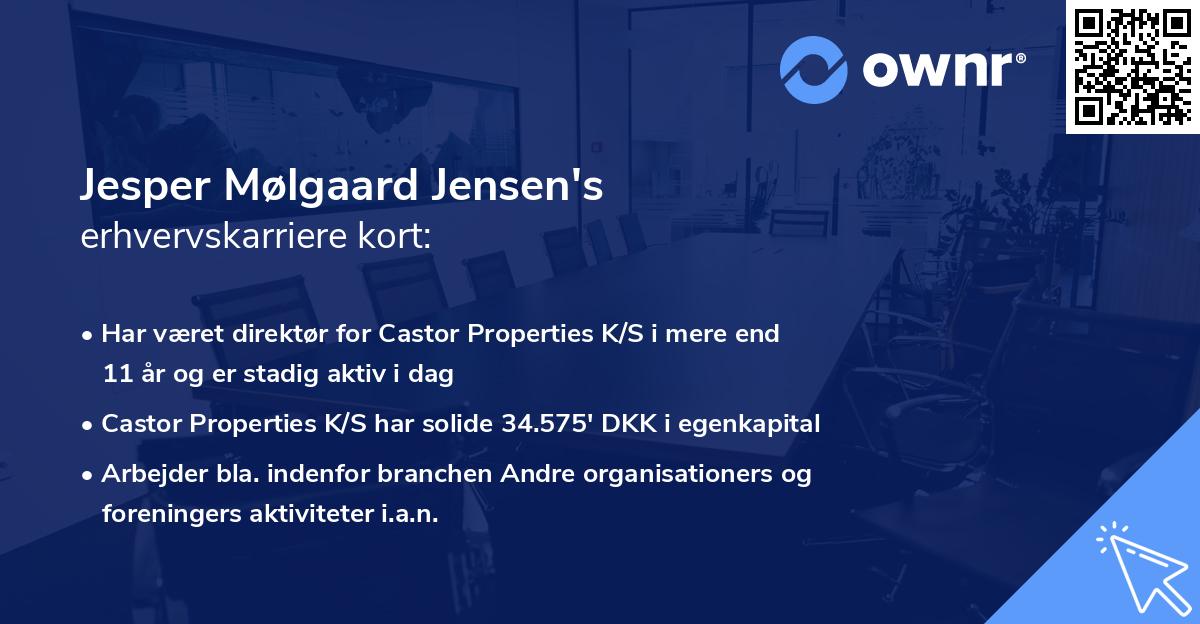 Jesper Mølgaard Jensen's erhvervskarriere kort
