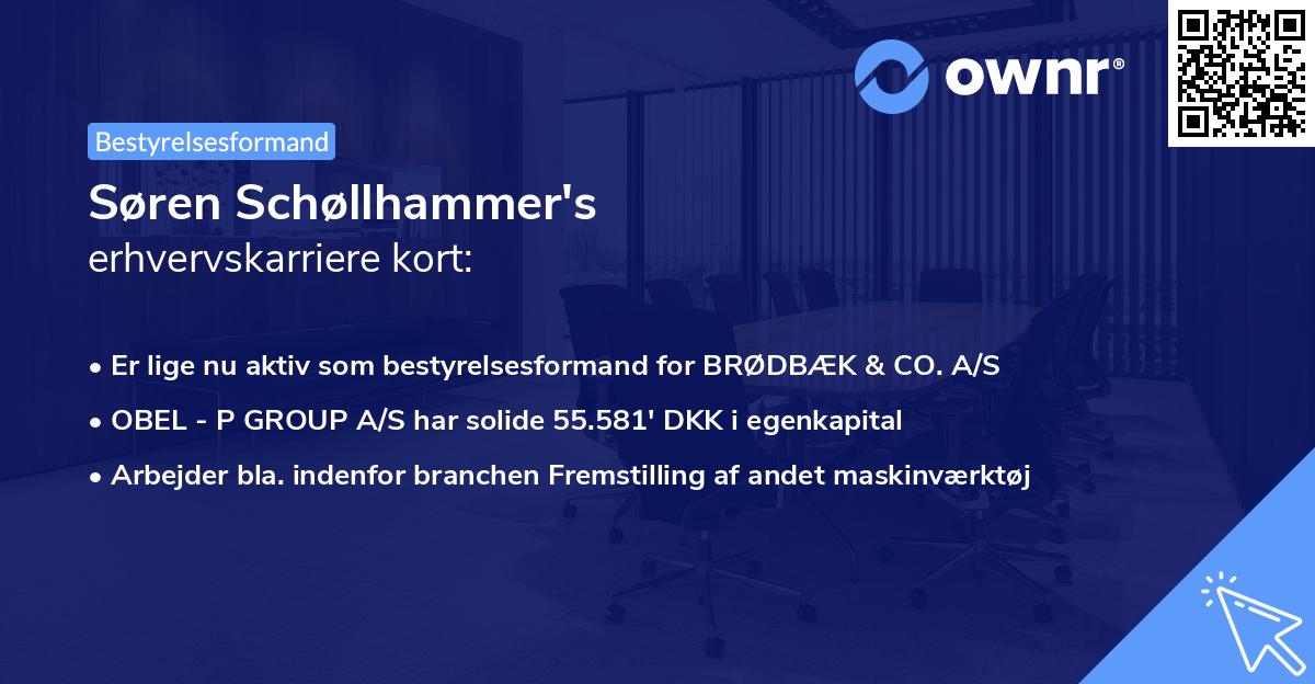 Søren Schøllhammer's erhvervskarriere kort