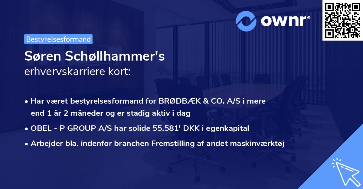 Søren Schøllhammer's erhvervskarriere kort