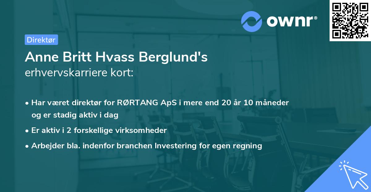 Anne Britt Hvass Berglund's erhvervskarriere kort