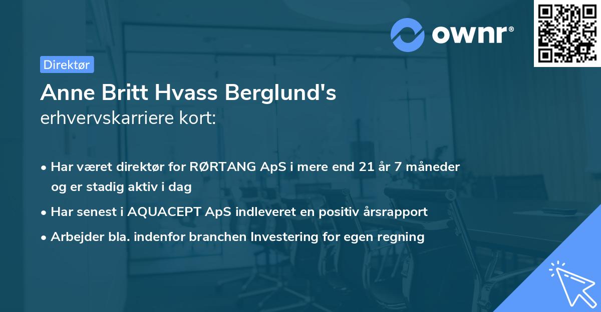Anne Britt Hvass Berglund's erhvervskarriere kort