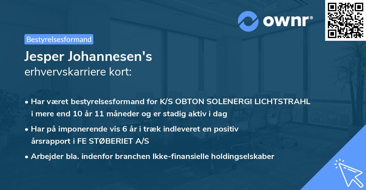 Jesper Johannesen's erhvervskarriere kort
