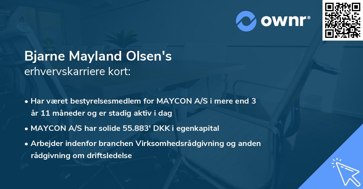 Bjarne Mayland Olsen's erhvervskarriere kort