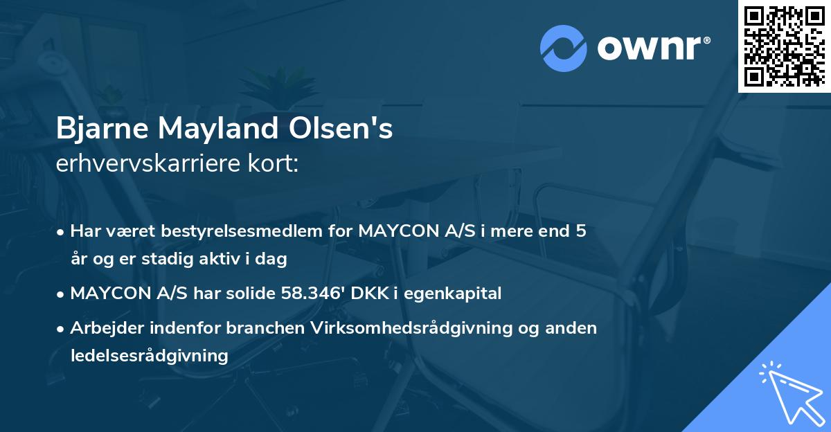 Bjarne Mayland Olsen's erhvervskarriere kort