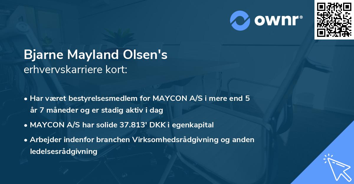 Bjarne Mayland Olsen's erhvervskarriere kort
