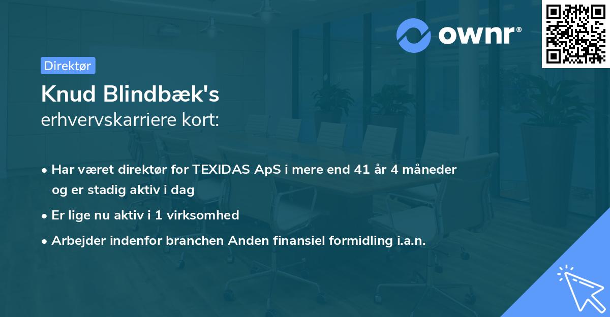 Knud Blindbæk's erhvervskarriere kort