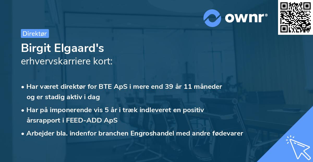 Birgit Elgaard's erhvervskarriere kort