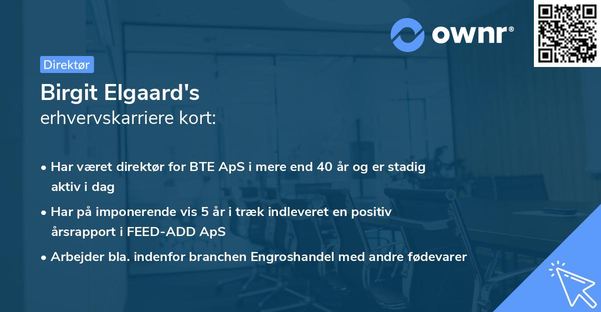 Birgit Elgaard's erhvervskarriere kort