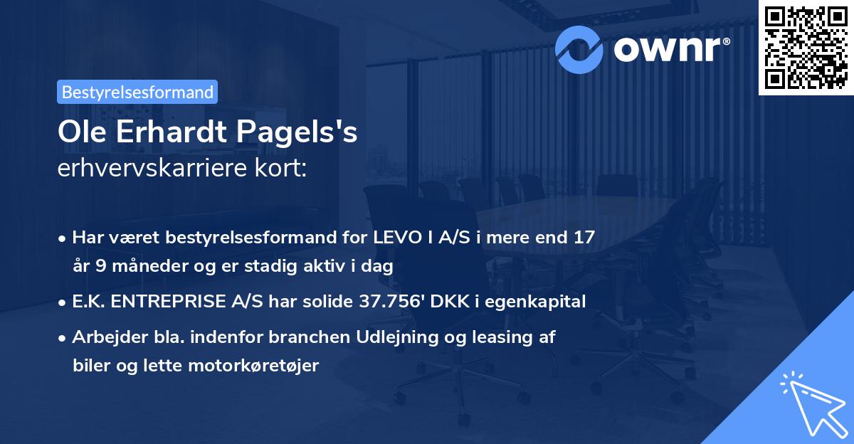 Ole Erhardt Pagels's erhvervskarriere kort