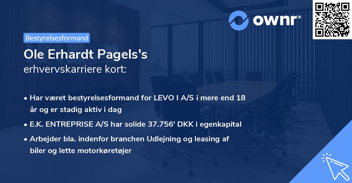 Ole Erhardt Pagels's erhvervskarriere kort